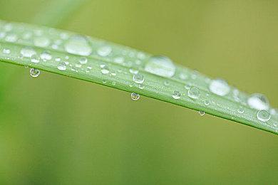 Epic喜加一：2D格斗游戏《小马格斗》免费领取